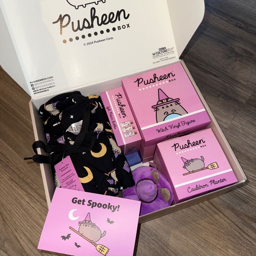 PUSHEEN BOX Fall 2024 | Full Box